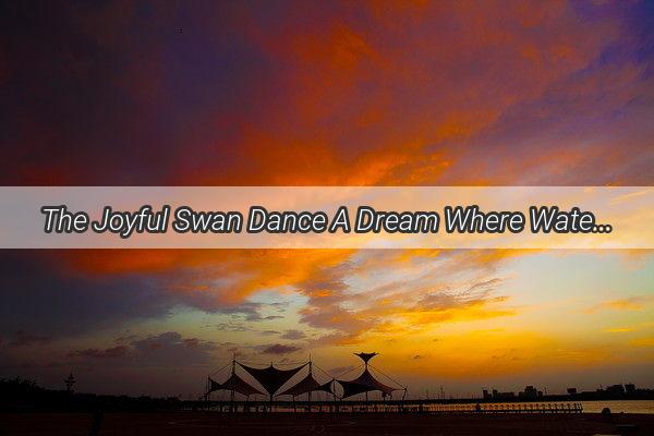 The Joyful Swan Dance A Dream Where Water Becomes a Symphony of Serenity